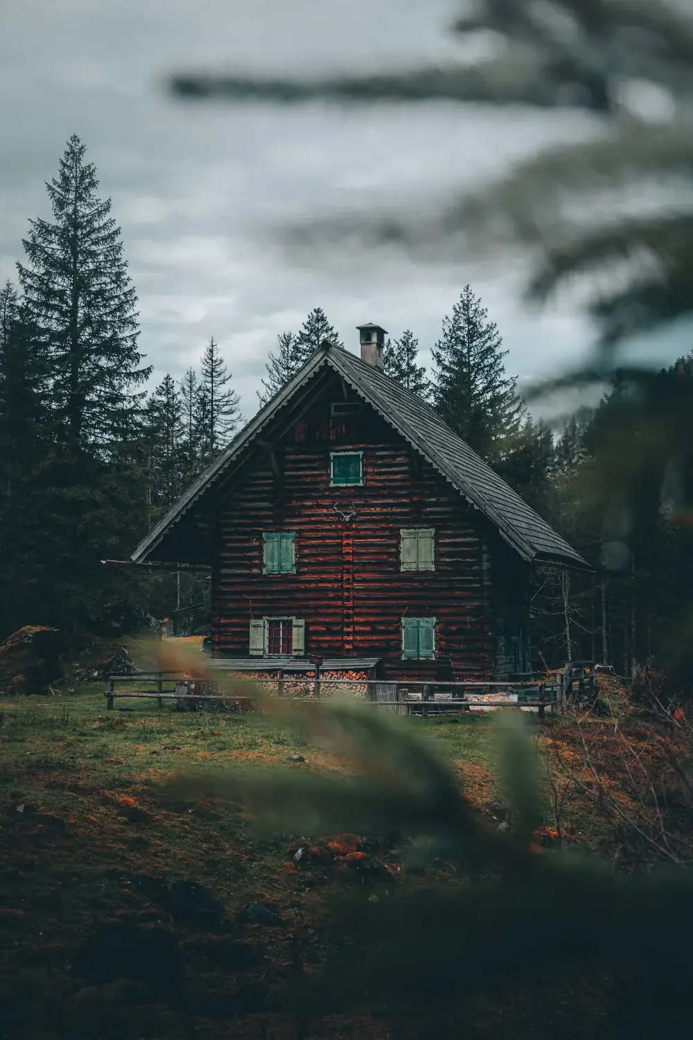 Rustic log cabin in an evergreen forest clearing
