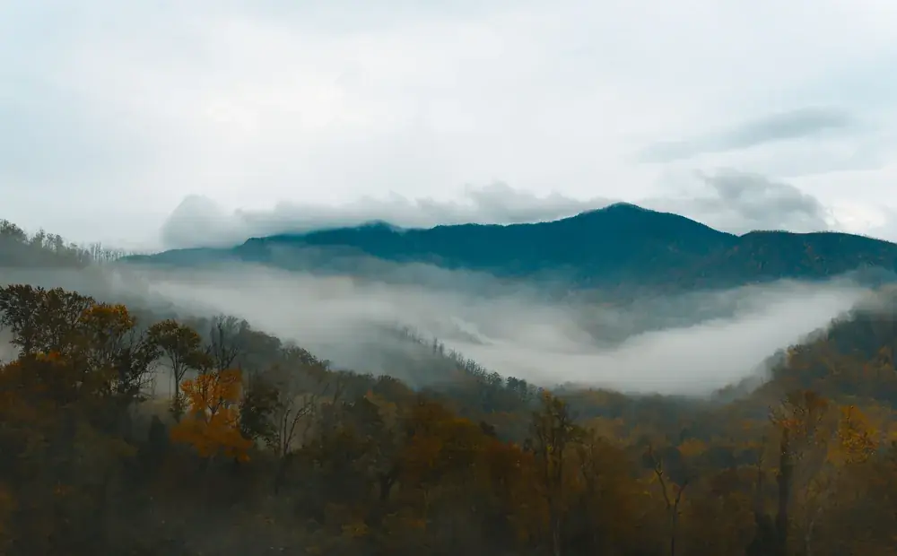 Fog flowing through forested Smoky Mountain slopes in autumn